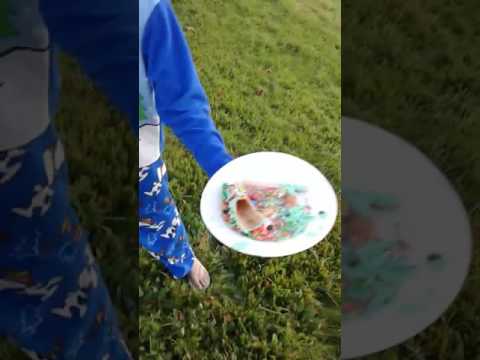 Rip the icecream Christmas tree