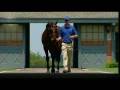 Darley Ad Street Cry
