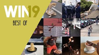 faze tari best of 2019