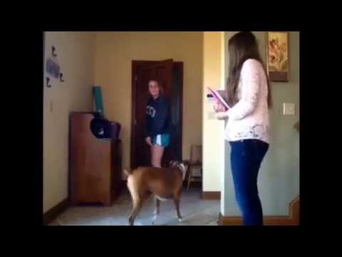 Hallie & Lydia - The Dumb Blondes of Ryle High