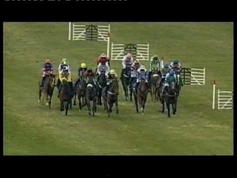 2010 Neptune Investment Management Novices' Hurdle