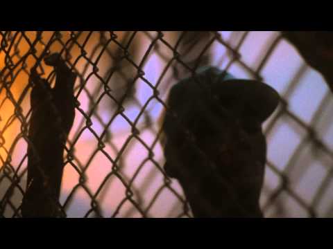 HeartbreakJP - 561(Prod. Kaine Solo)