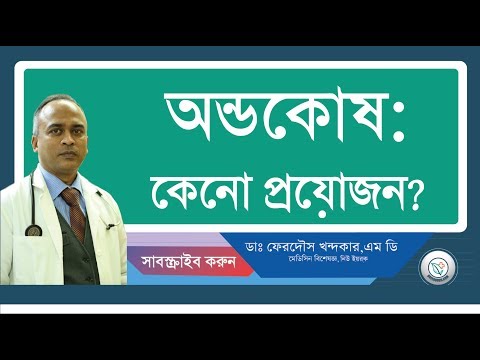 অন্ডকোষ:: স্বাভাবিক গঠন।
