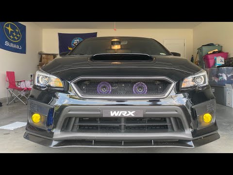 2021 Subaru WRX Limited Hella Supertone Horns (Before & After)