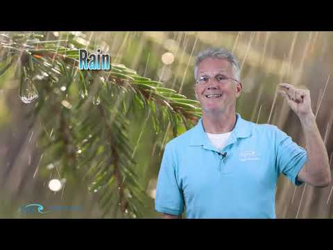 PPGS Lesson 11.7 | Weather: Fog & Precipitation