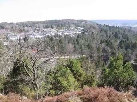 Gärdsås kulle i Kortedala 2013