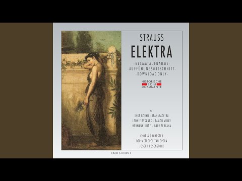 Elektra, erster Akt: Orest ! Orest !