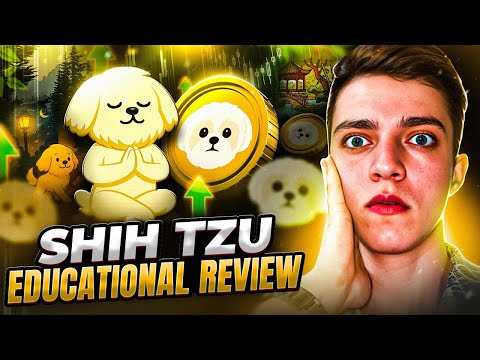 Shihbnb Token Breakdown | Crypto Educational Review | DYOR