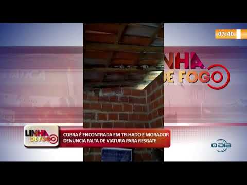LINHA DE FOGO 07 01 2020 COBRA É ENCONTRADA EM TELHADO E MORADOR FAZ DENUNCIA