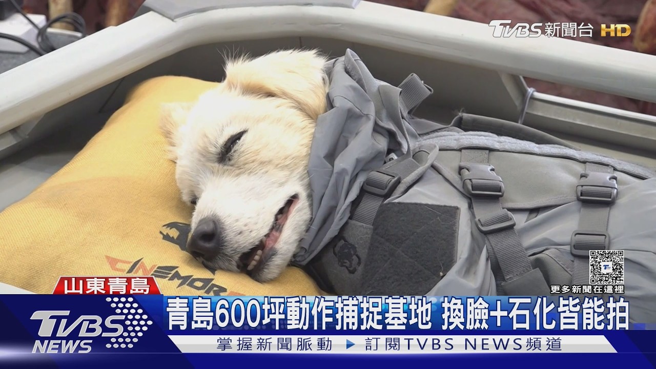五毛特效掰了！陸特效市場升級　「東方影都」打造600坪動捕中心