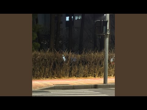 횡단보도