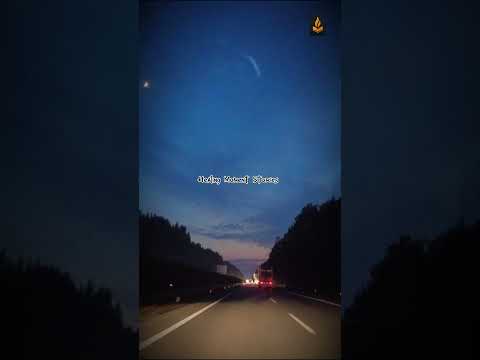 When Life Feels Too Heavy, Nature Teaches You How to Find Peace