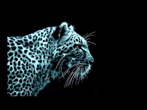 Empire The Sun vs W&W & Blasterjaxx - Rocket Alive (Giulio Grassi Edit)