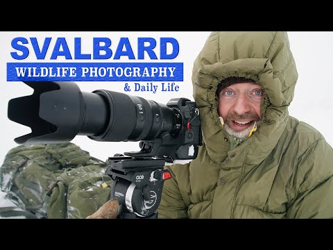 Enduring The Snowstorm Paid Off - Dogsledding, Ice Cave and Snow Storm on Svalbard