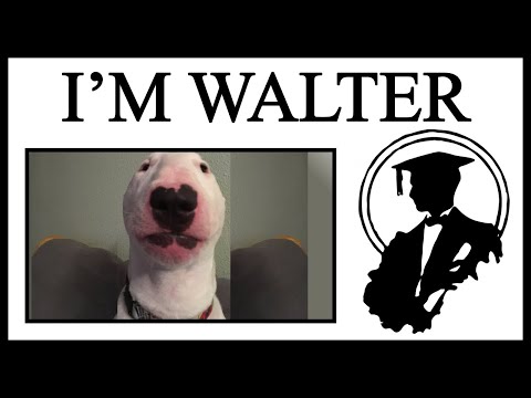 download lagu mp3 mp4 Walter Dog, download lagu Walter Dog gratis, unduh video klip Walter Dog