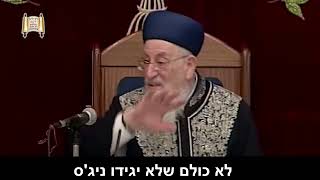 העגבניות שהרביצו לערבי   מרן הרב מרדכי אליהו (הרב מרדכי אליהו זצ"ל) - התמונה מוצגת ישירות מתוך אתר האינטרנט יוטיוב. זכויות היוצרים בתמונה שייכות ליוצרה. קישור קרדיט למקור התוכן נמצא בתוך דף הסרטון