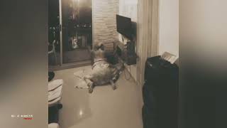 Download lagu Di Genjot Jin Saat Tidur Sendirian.!!  mp3