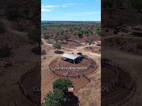 Excelente fazenda à venda 1.090 alqueires (5.275 ha) no município de Sandolândia – TO #fazendaavenda