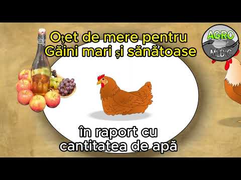 Ce să pui în apa păsărilor de curte ca să crească mari și sănătoase #apa #pasari #curte #gaini #pui