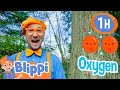 Blippi S Green Earth Day Learning Blippi Moonbug Subtitles