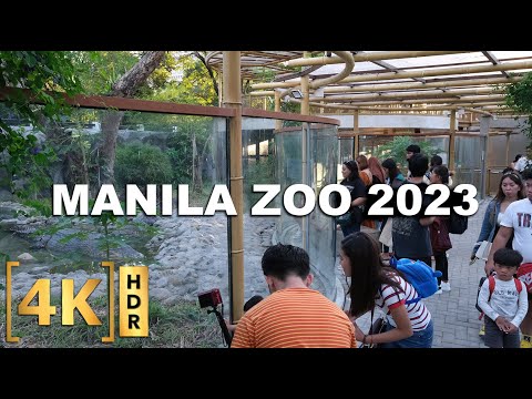 Manila Zoo Now With ₱150 Entrance Fee | New Attractions Walking Tour 2023 | 4K HDR | Philippines