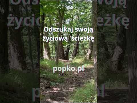 [Encyklopedia Wiedzy Duchowej] Odszukaj swoją życiową ścieżkę   popko.pl #motywacja #popko #rozwojduchowy #zyciowasciezka