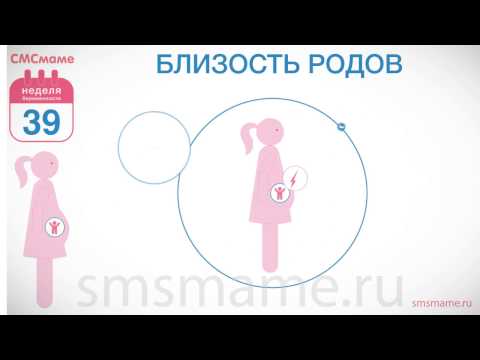 Как лечить растяжение мышц голеностопного сустава Боль в спине с лево на верху