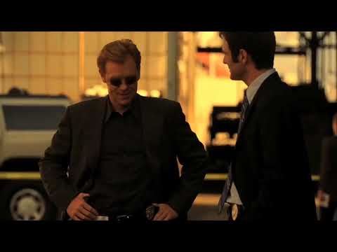 Well, look what the cat dragged in. | CSI: Miami