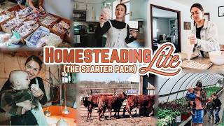 The Homesteading Spirit (WEEKLY VLOG): freezer full of beef, new chicks + styling my thrift finds