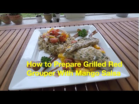 Grilled Red Grouper with Sweet Mango Salsa: Florida Seafood at Your Fingertips LIVE!