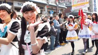2017/03/19 日本橋ストリートフェスタ メイドパレード