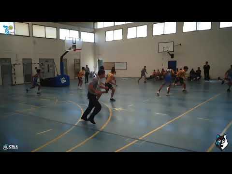 INFANTIL MASCULINO : CB 7 Palmas - CB  Canarias