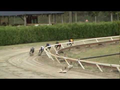 European Derby Consolation 2012 - Kf. First Bibor