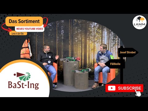 ValFast, DrillFast, ValLink & Co.: Die Entstehung der verschiedenen Fällkeile von BaSt-Ing