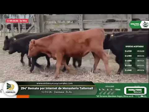 12-03-26 - 294º Remate por Internet de Monasterio Tattersall - Daireaux, Bs.As.