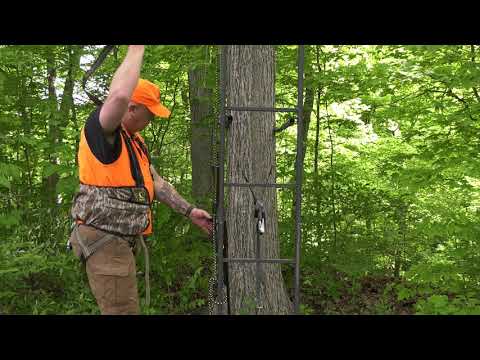 Tree Stand Safety: Installing a Ladder Tree Stand