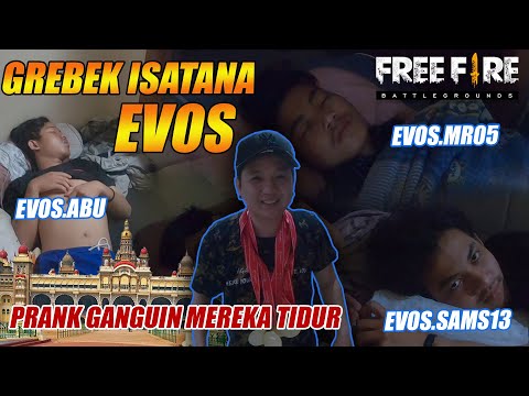 RAID THE PALACE HOUSE OF THE EVOS WORLD CHAMPION FREE FIRE PRANK DISTURBING THEM WHILE SLEEPING L...