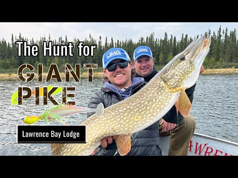 The Hunt for Giant Pike | Lawrence Bay Lodge on Reindeer Lake - YouTube