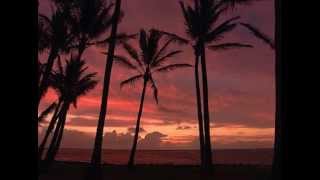 Born and Raised Hawaiian.dv