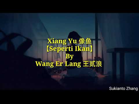 Xiang Yu 像鱼 (Seperti ikan) - 王贰浪 Wang Er Lang & lyrics/lirik