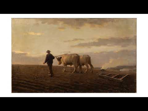 Pittara Carlo - Dizionario pittori italiani 1800 - 1900 - Massimiliano Fiorio