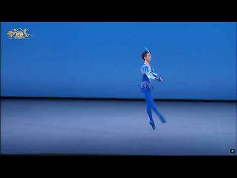 Bogdan Verbovoy (Kazakhstan) - Bluebird Variation | XIV Moscow Ballet Competition, Senior Round 1
