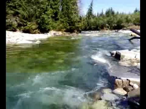 Białka po powodzi 2008