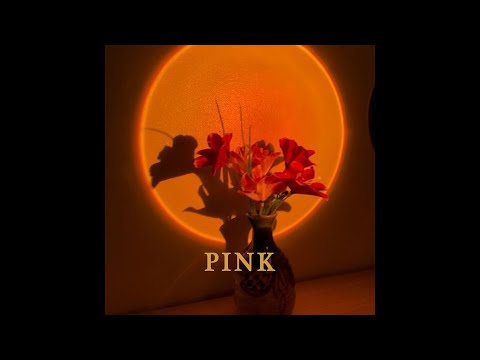 (FREE) Clairo x Steve Lacy x Bedroom-Pop "Pink" | Type Beat