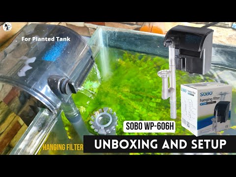SOBO WP- 606H Hanging Filter - Unboxing & Setup Tutorial / Best for small Planted Tank