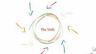 The Veils - Vicious Traditions
