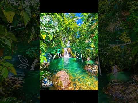 𝐂𝐇𝐈𝐁𝐔𝐆Á: 𝐔𝐍 𝐑𝐈𝐍𝐂Ó𝐍 𝐍𝐀𝐓𝐔𝐑𝐀𝐋 𝐃𝐄 𝐃𝐀𝐁𝐄𝐈𝐁𝐀 🌿💧 #dabeiba #antioquia #turismo #paseofamiliar