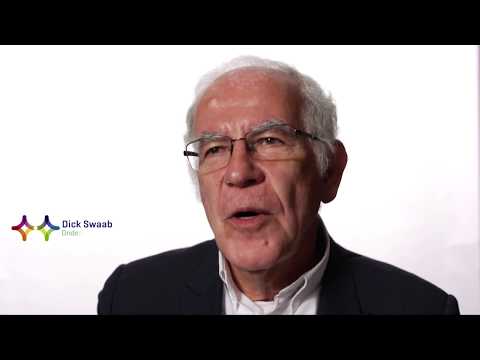 Onderzoek naar depressie en alzheimer - Dick Swaab
