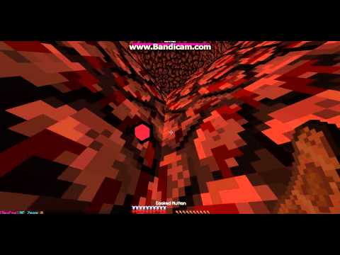 Killing The Wither On Foxcraft Survival With Lenni!