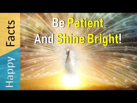 Why Patience is a Virtue - How to be More Patient in Life